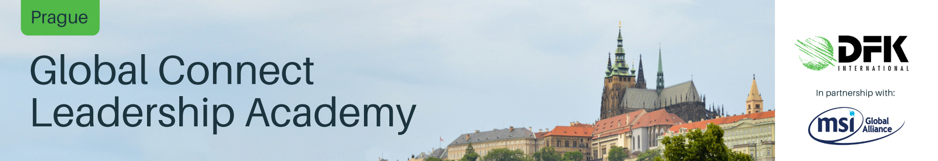 Untitled design (11).png 1