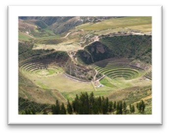 moray.jpg
